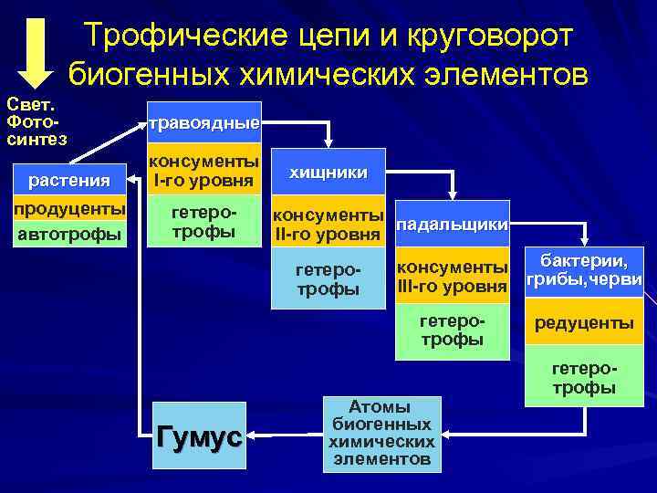 Оформите схему естествознание синтез наук