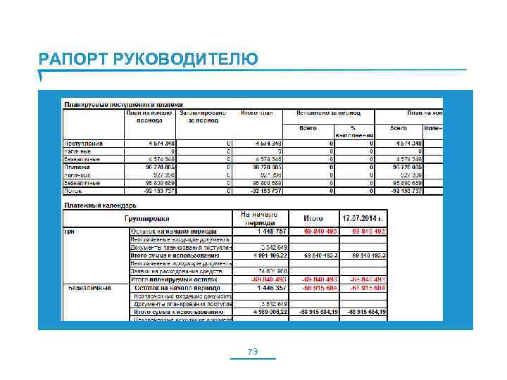 РАПОРТ РУКОВОДИТЕЛЮ 73 