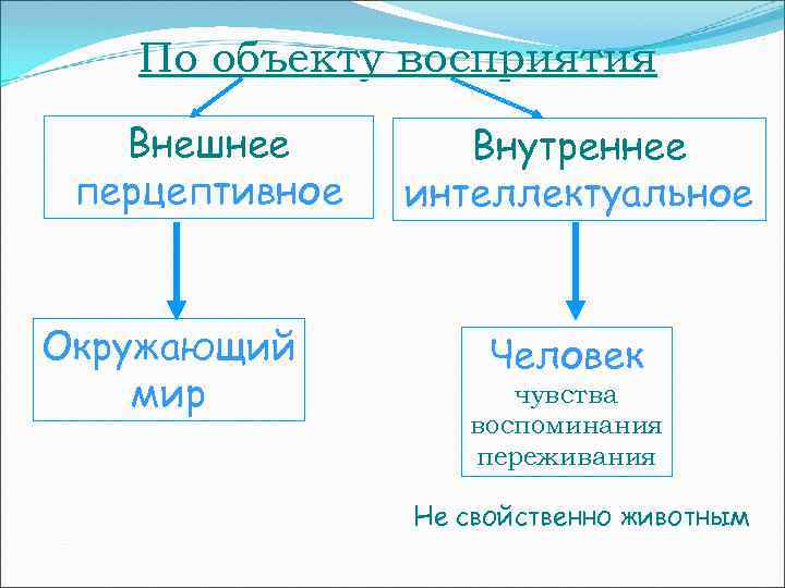 По объекту восприятия Внешнее перцептивное Окружающий мир Внутреннее интеллектуальное Человек чувства воспоминания переживания Не