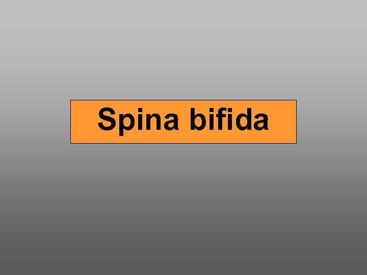 Spina bifida 