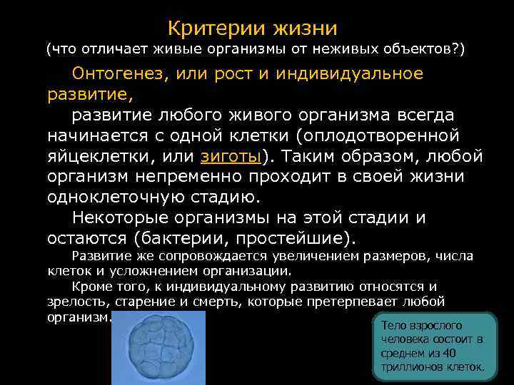 Критерии жизни (что отличает живые организмы от неживых объектов? ) Онтогенез, или рост и