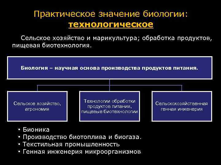 Использование биологии. Значение практической биологии. Практическая значимость биологии. Практическое значение биологических знаний. Практическое значение современной биологии.