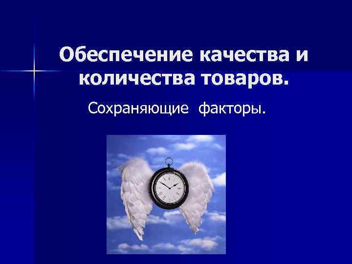 Обеспечение качества и количества товаров. Сохраняющие факторы. 