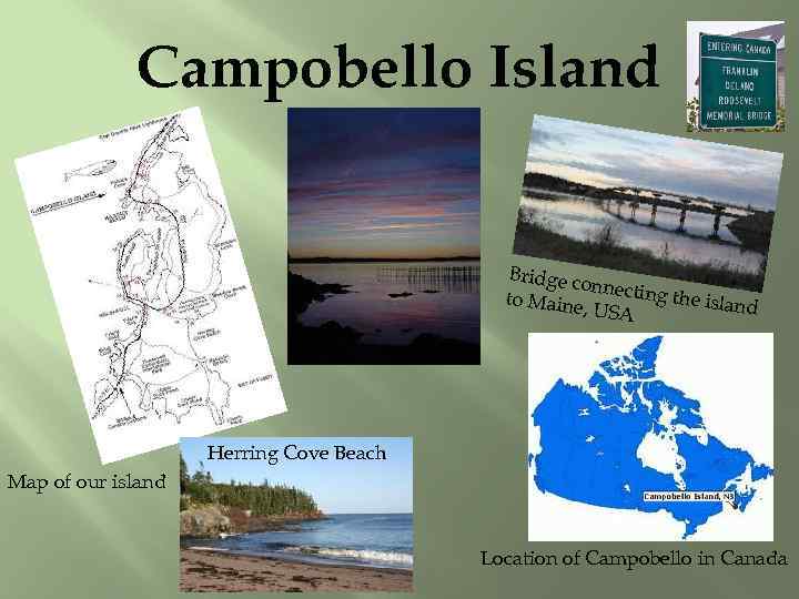 Campobello Island Bridge c onnectin g the isla to Maine nd , USA Herring