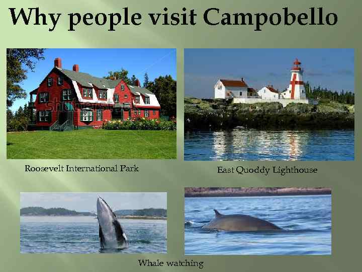 Why people visit Campobello Roosevelt International Park Whale watching East Quoddy Lighthouse 