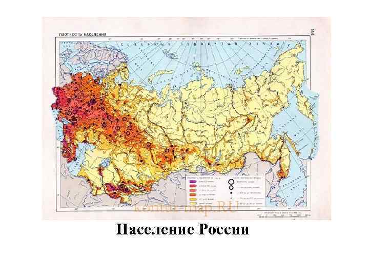 Население России 