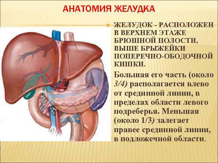 Осложнения язвенной болезни желудка презентация