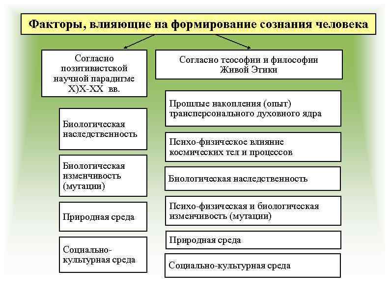 Факторы, влияющие на формирование сознания человека Согласно позитивистской научной парадигме X)X-XX вв. Биологическая наследственность