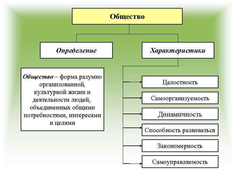 Общество Определение Общество – форма разумно организованной, культурной жизни и деятельности людей, объединенных общими