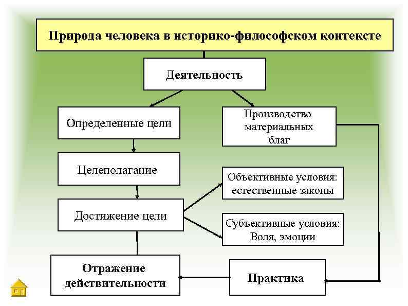 Природа человека в историко-философском контексте Деятельность Определенные цели Целеполагание Достижение цели Отражение действительности Производство