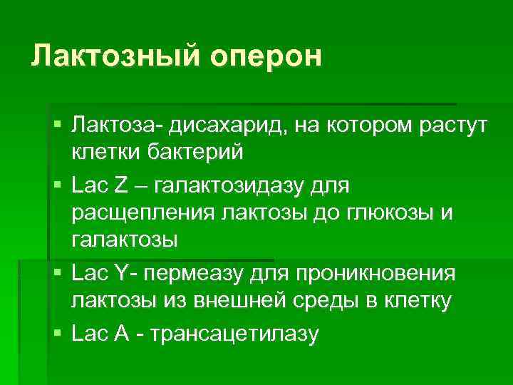 Лактозный оперон Лактоза- дисахарид, на котором растут клетки бактерий Lac Z – галактозидазу для