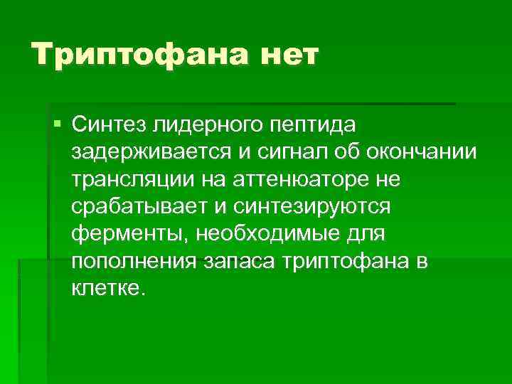 Триптофана нет Синтез лидерного пептида задерживается и сигнал об окончании трансляции на аттенюаторе не