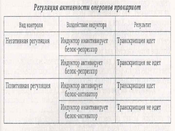 Когда триптофана мало Синтез ЛП задерживается и сигнал об окончании транскрипции на аттенюаторе не