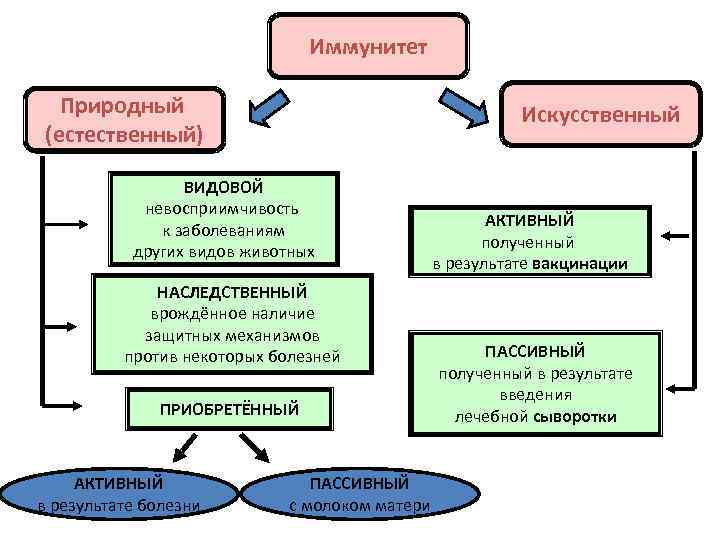 Иммунитет Природный (естественный) Искусственный ВИДОВОЙ невосприимчивость к заболеваниям других видов животных НАСЛЕДСТВЕННЫЙ врождённое наличие