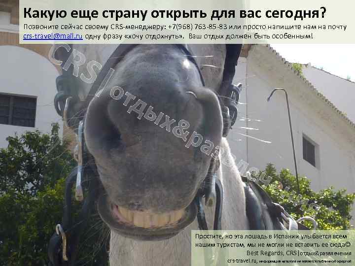 Какую еще страну открыть для вас сегодня? Позвоните сейчас своему CRS-менеджеру: +7(968) 763 -85