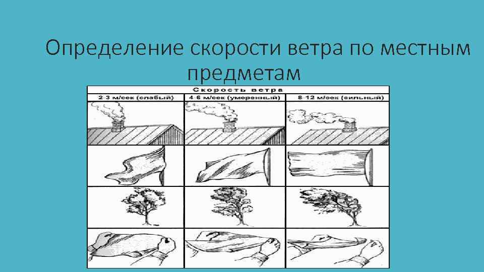 Как найти скорость ветра. Определение скорости ветра. Определение скорости ветра по местным предметам. Как определить скорость ветра по деревьям. Скорость ветра по флагу.