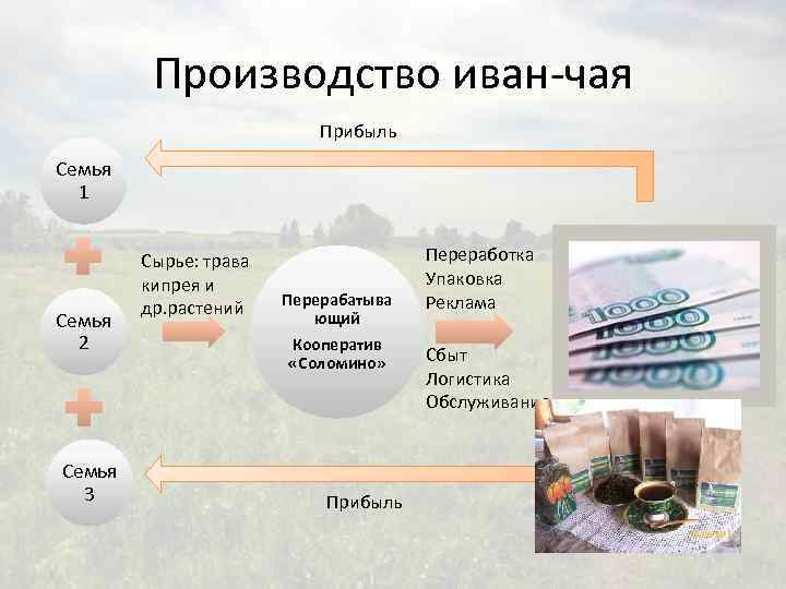 Производство иван-чая Прибыль Семья 1 Семья 2 Семья 3 Сырье: трава кипрея и др.