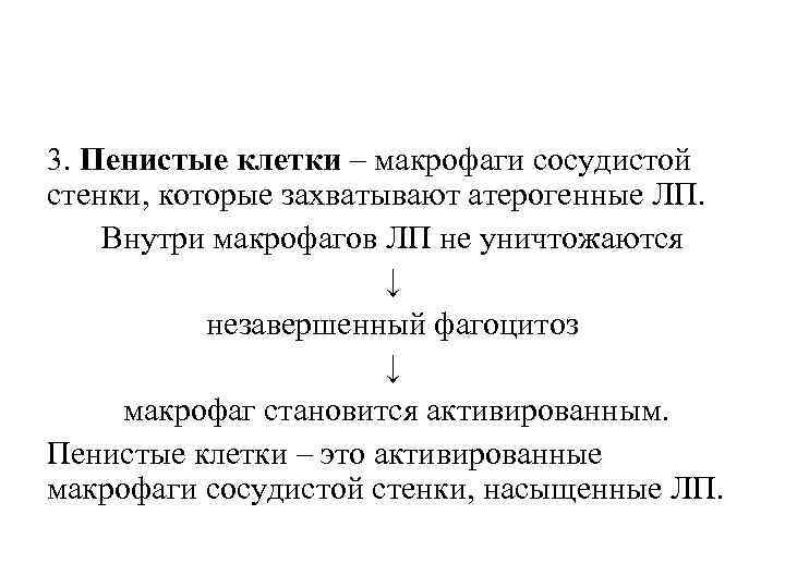 3. Пенистые клетки – макрофаги сосудистой стенки, которые захватывают атерогенные ЛП. Внутри макрофагов ЛП