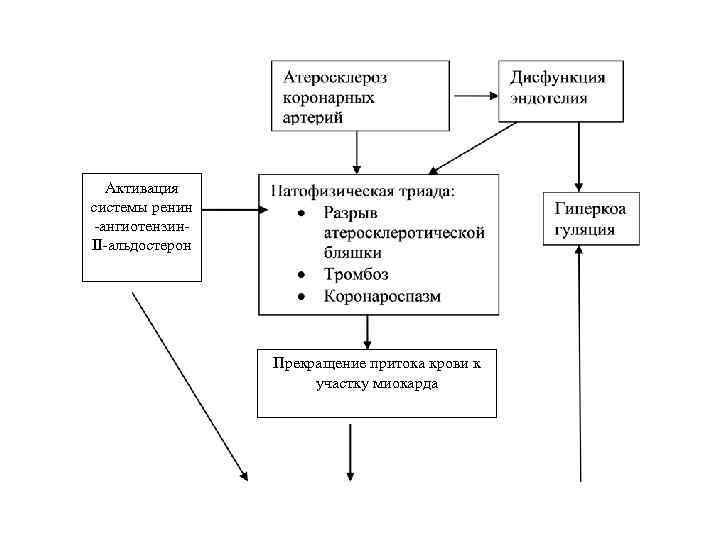 Активация системы ренин ангиотензин II альдостерон Прекращение притока крови к участку миокарда 