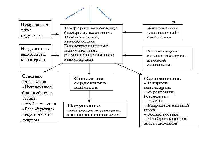 Иммунологич еские нарушения Неадекватные ангиогенез и коллатерали Основные проявления: Интенсивные боли в области сердца