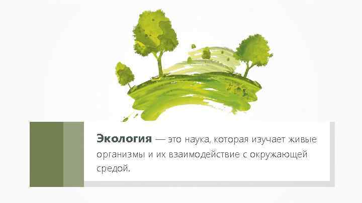 Экология — это наука, которая изучает живые организмы и их взаимодействие с окружающей средой.