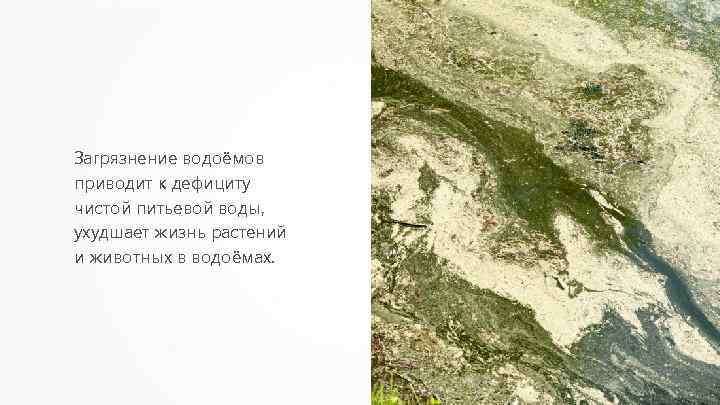 Загрязнение водоёмов приводит к дефициту чистой питьевой воды, ухудшает жизнь растений и животных в