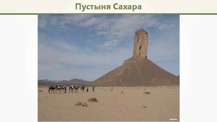 Пустыня Сахара stephlulu 