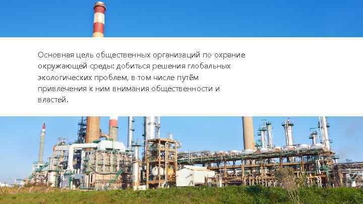 Основная цель общественных организаций по охрание окружающей среды: добиться решения глобальных экологических проблем, в