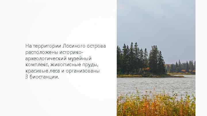 На территории Лосиного острова расположены историкоархеологический музейный комплекс, живописные пруды, красивые леса и организованы