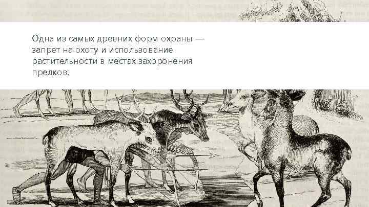 Одна из самых древних форм охраны —  запрет на охоту и использование растительности в
