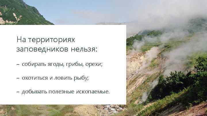 На территориях заповедников нельзя: ‒  собирать ягоды, грибы, орехи; ‒  охотиться и ловить рыбу;