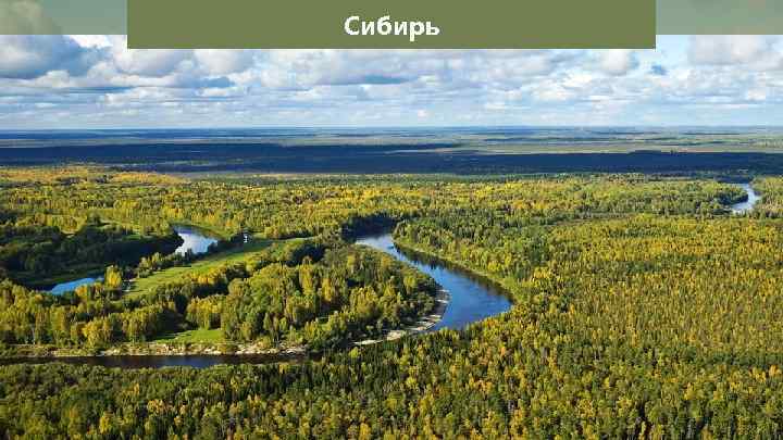 Сибирь 