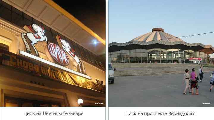 Chan-Fan Цирк на Цветном бульваре El Pantera Цирк на проспекте Вернадского 