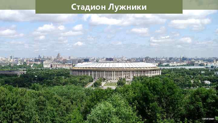 Стадион Лужники Zeynel Cebeci 