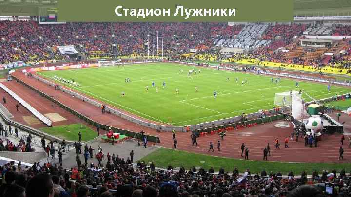 Стадион Лужники 