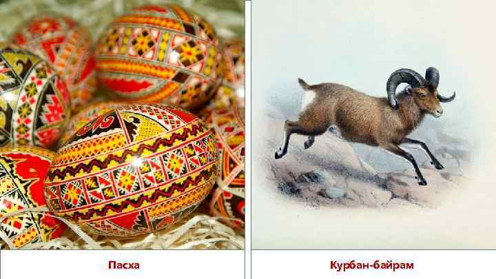 Пасха Курбан-байрам 