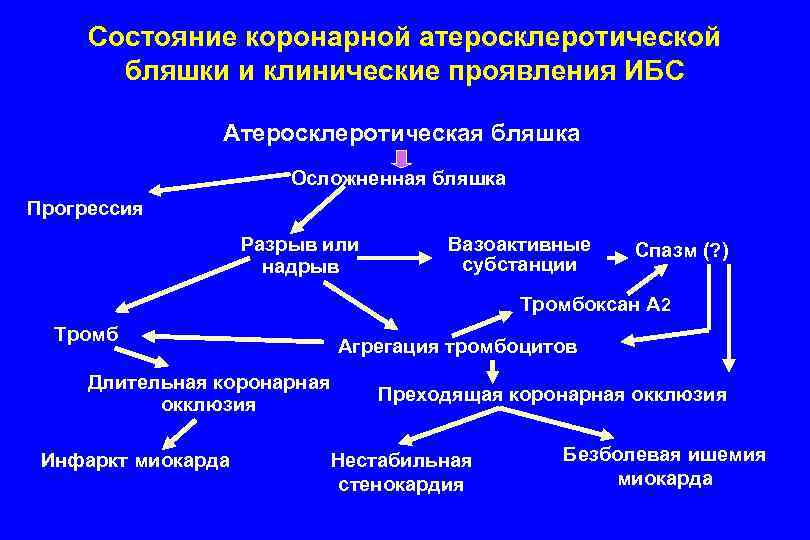 Состояние коронарной атеросклеротической бляшки и клинические проявления ИБС Атеросклеротическая бляшка Осложненная бляшка Прогрессия Разрыв