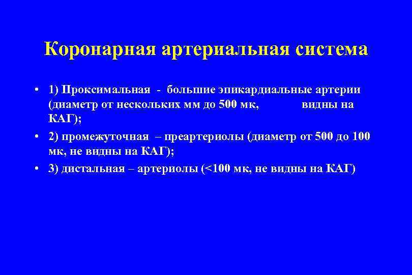 Коронарная артериальная система • 1) Проксимальная - большие эпикардиальные артерии (диаметр от нескольких мм