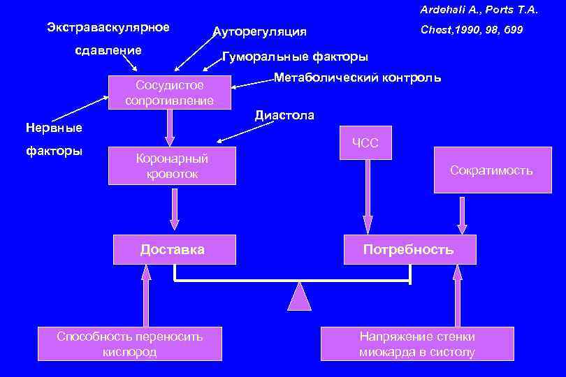 Ardehali A. , Ports T. A. Экстраваскулярное сдавление Сосудистое сопротивление Гуморальные факторы Метаболический контроль