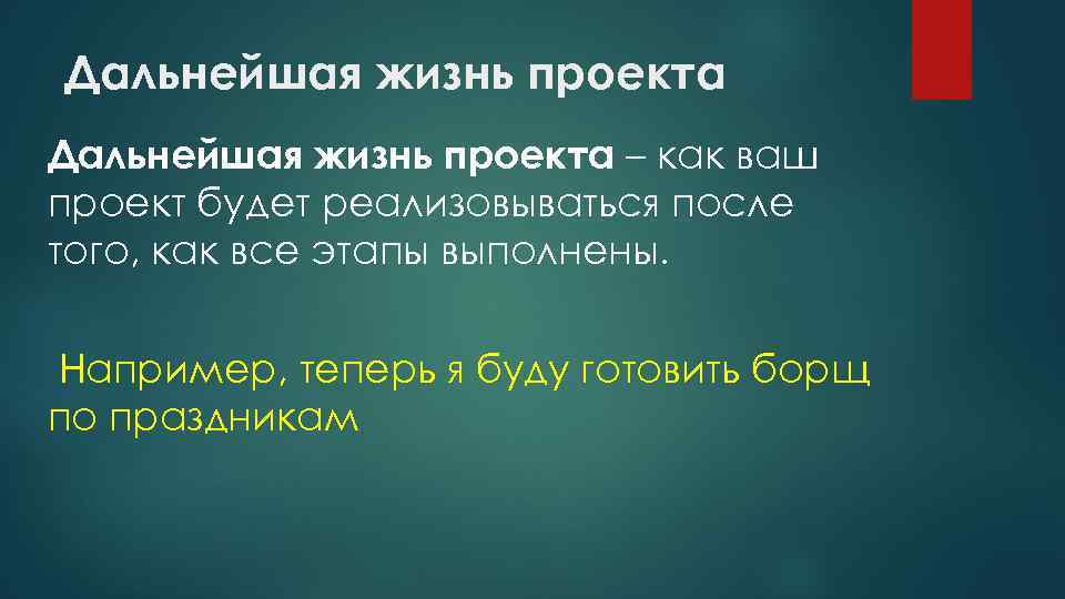 Дальнейшая жизнь проекта – как ваш проект будет реализовываться после того, как все этапы