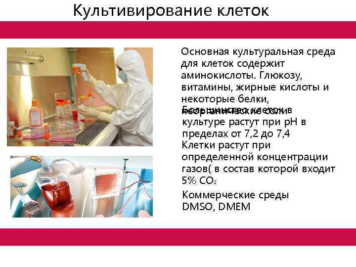 Культивирование клеток Основная культуральная среда для клеток содержит аминокислоты. Глюкозу, витамины, жирные кислоты и