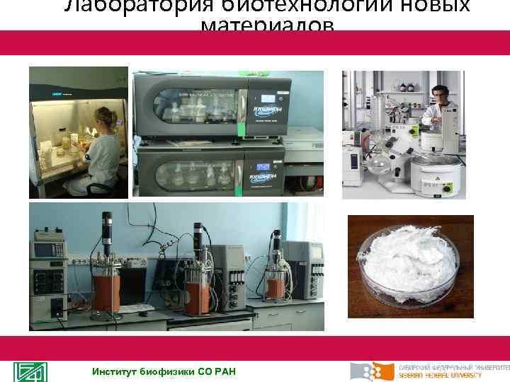 Лаборатория биотехнологии новых материалов Институт биофизики СО РАН 