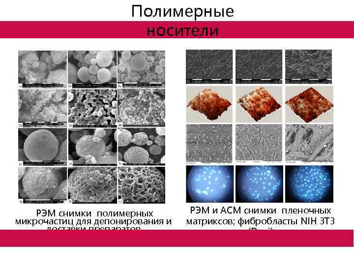 Полимерные носители РЭМ снимки полимерных микрочастиц для депонирования и доставки препаратов РЭМ и АСМ