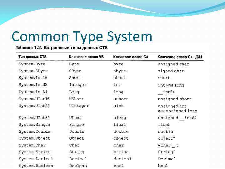 Common Type System 