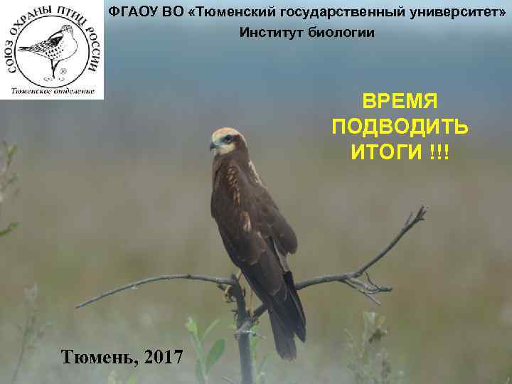 ФГАОУ ВО «Тюменский государственный университет» Институт биологии ВРЕМЯ ПОДВОДИТЬ ИТОГИ !!! Тюмень, 2017 