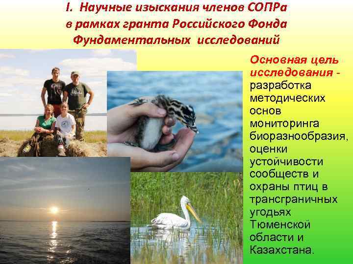 I. Научные изыскания членов СОПРа в рамках гранта Российского Фонда Фундаментальных исследований Основная цель