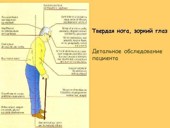 Твердая нога, зоркий глаз Детальное обследование пациента 