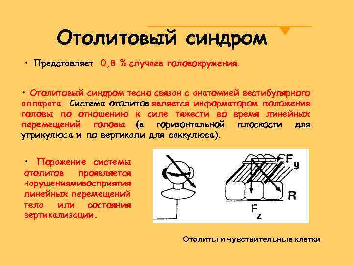 Отолитовый синдром • Представляет 0, 8 % случаев головокружения. • Отолитовый синдром тесно связан