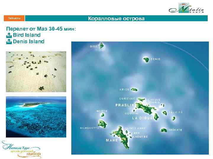 Сейшелы Перелет от Маэ 30 -45 мин: Bird Island Denis Island Коралловые острова 