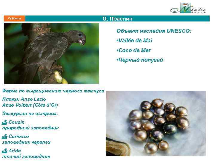 Сейшелы О. Праслин Объект наследия UNESCO: • Vallée de Mai • Coco de Mer